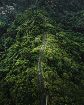 绿色景区中的石径小路