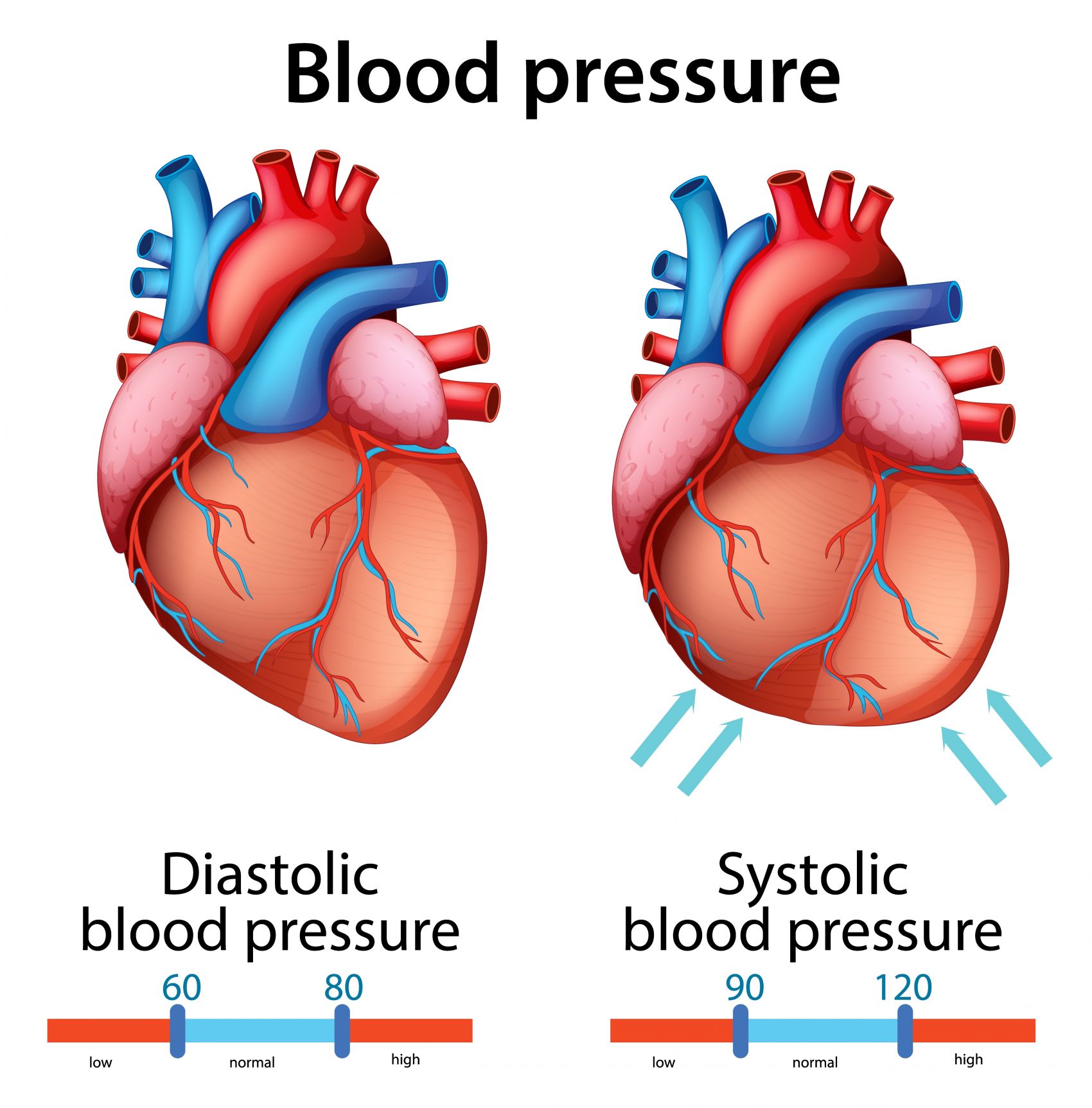 卡通心脏血管医学素材图片