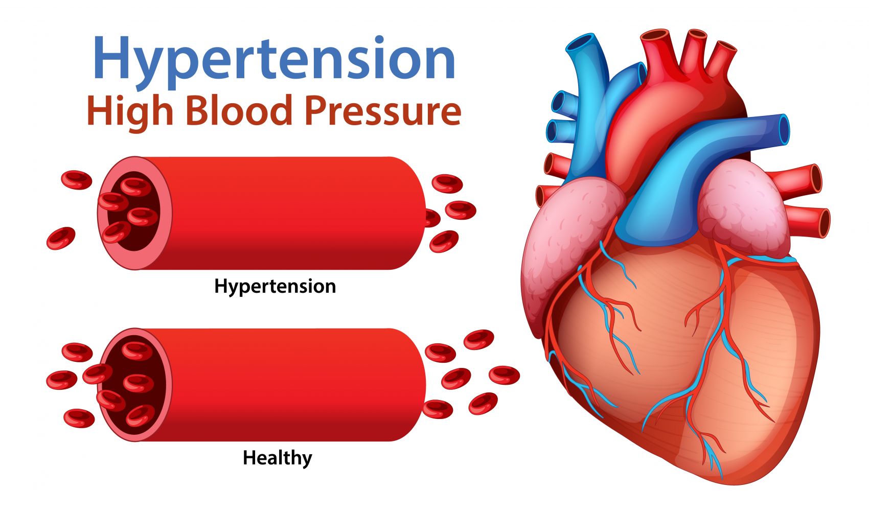 卡通心血管心脏医学素材图片