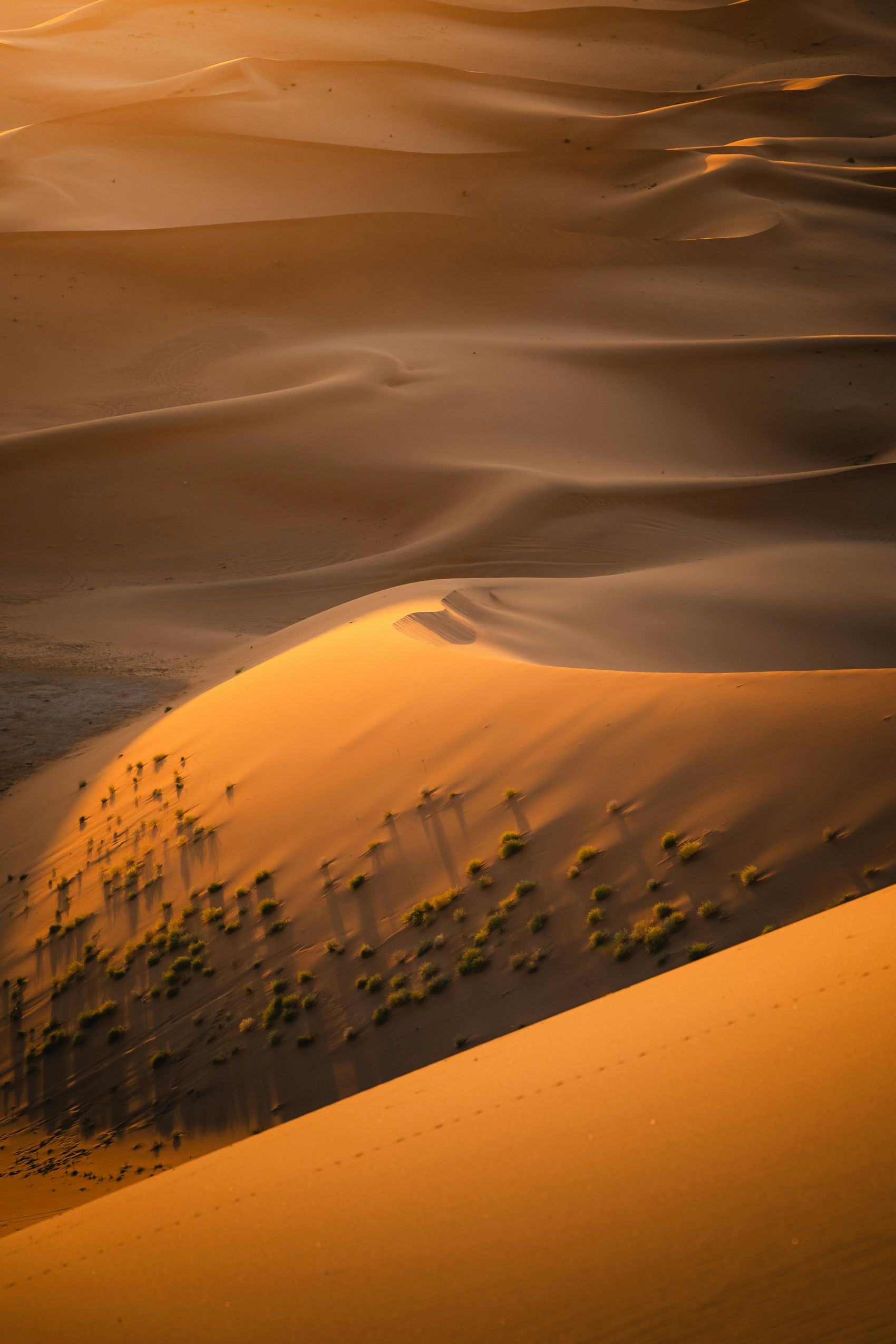 金色沙漠沙丘图图片