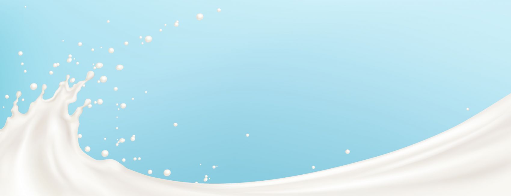 蓝色背景下的白色纯牛奶奶花图片