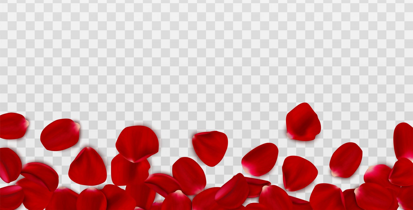 红色花瓣素材图片