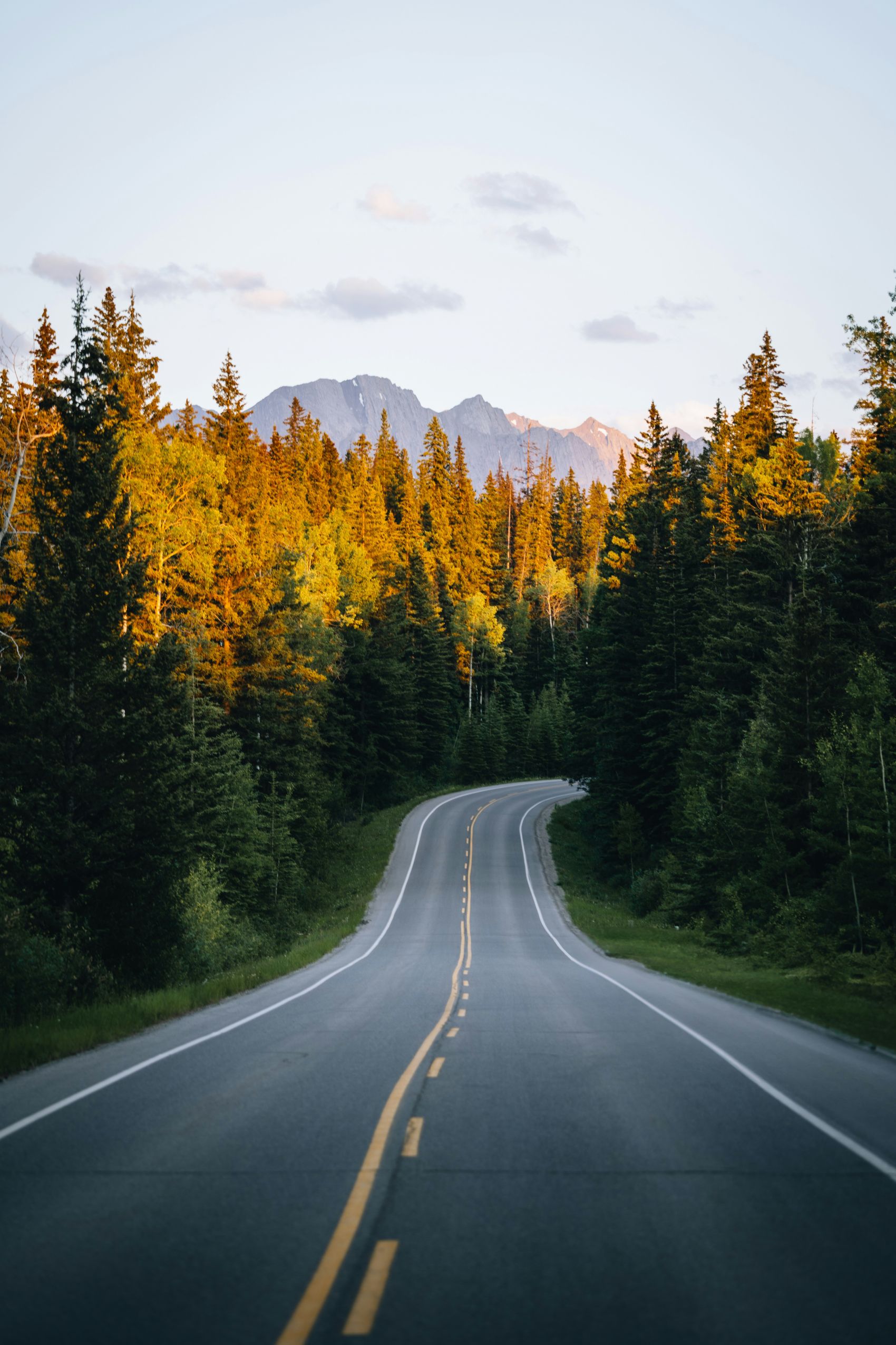 山林公路-自然与旅途的融合之美图片