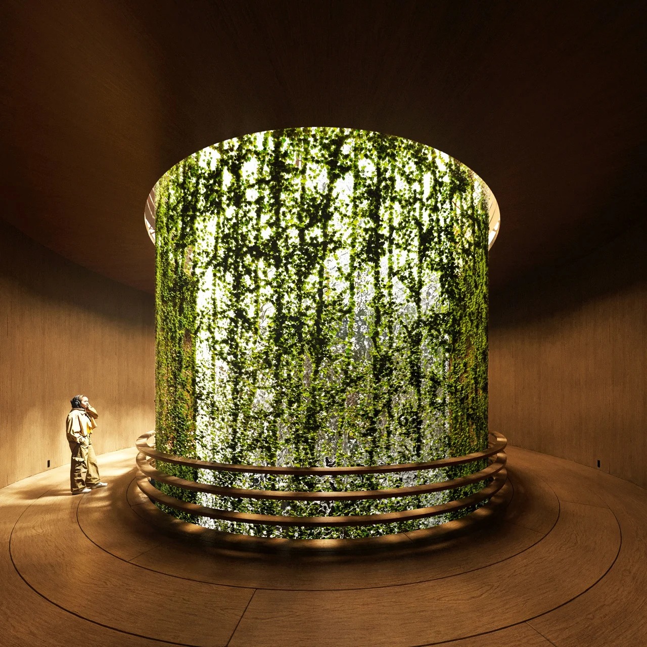 利用竹子和仿生学将人类与自然重新联系起来的亚马逊雨林展馆---酷图编号2