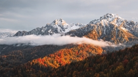 秋日雪山与彩林相映的壮美景色