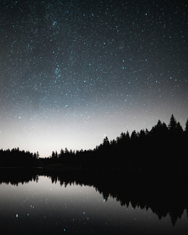 星空下的森林湖泊夜景