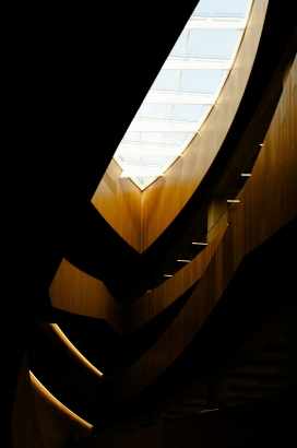 木质曲线建筑中的光影艺术空间