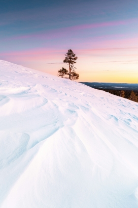 雪原孤树黄昏渐变：粉紫橙色调下的极地冬日风光摄影