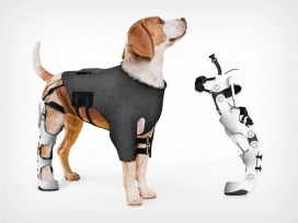 可以帮助受伤狗按照自己方式重新学习运动的智能宠物外骨骼
