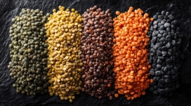 五色豆谷 轻食食材色彩美学