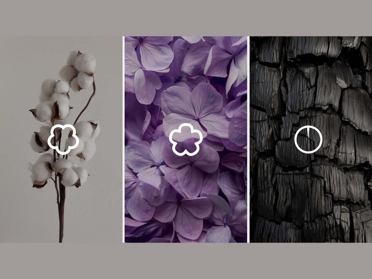 自旋演绎视觉故事的小巧空气清新剂---酷图编号7