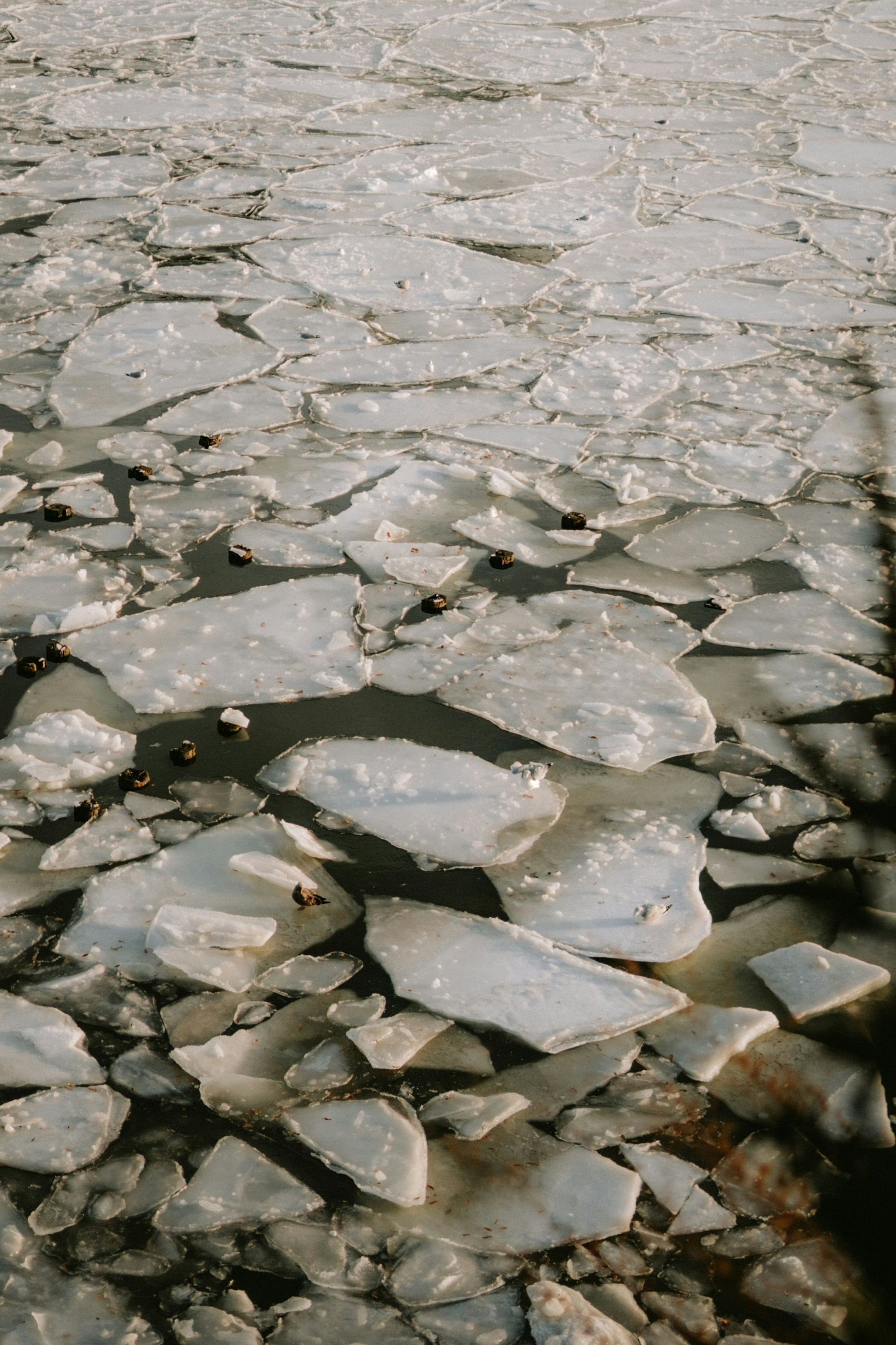 寒江碎玉 冰河浮冰自然肌理图片