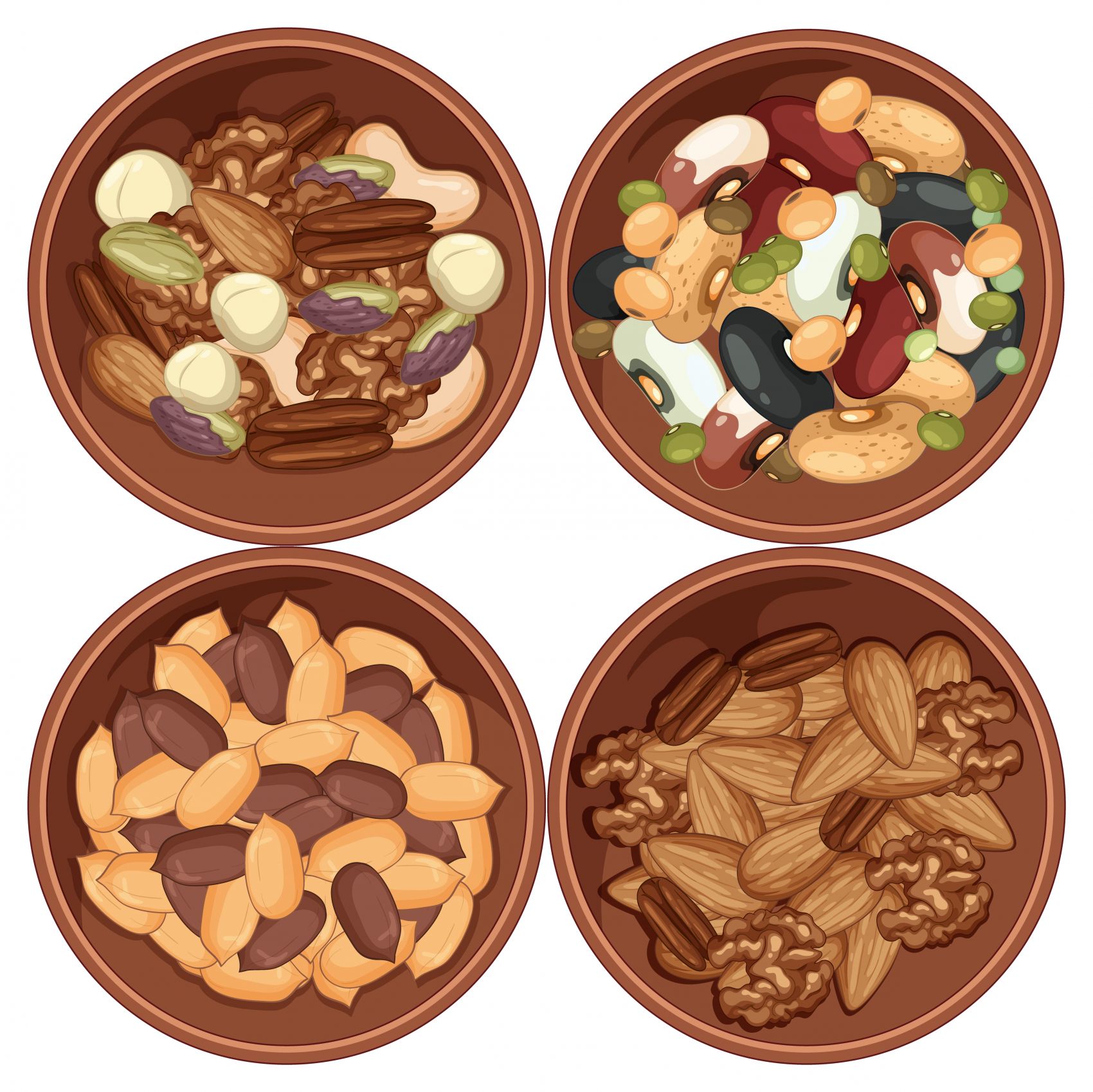 坚果与豆类拼盘 健康食材插画图片