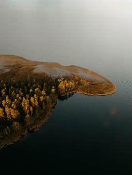 鎏金屿岸：湖间洲渚的晨雾暖光织就