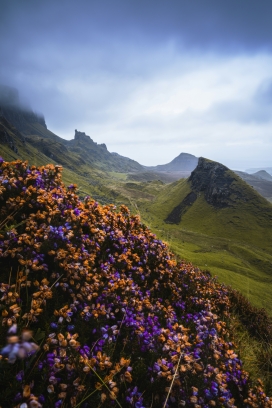 花甸峦影：苏格兰高地的山野烂漫之境