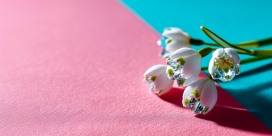 晶质雪滴 - 艺术化改造的雪滴花装饰摆件