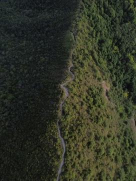 林径蜿蜒 - 航拍视角下的山野步道