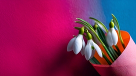 雪滴花束 - 撞色背景下的春日清新视觉