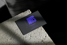 Darts Art Gallery - Brand Design-极简未来主义-DARTS 品牌视觉名片设计