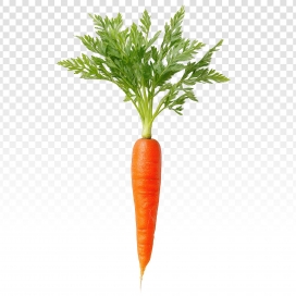 鲜脆胡萝卜 免抠食材设计素材