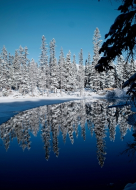 雪林镜湖 冬日静谧自然盛景