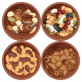 坚果与豆类拼盘 健康食材插画
