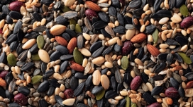 混合种子与坚果 - 健康食材特写摄影