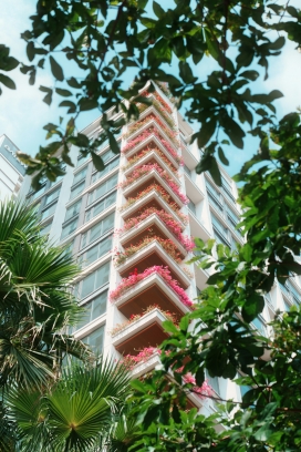 垂直花园公寓 - 现代绿色建筑摄影