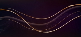 黑金鎏金曲线 - 高端科技感背景设计素材