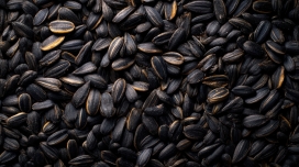 饱满黑壳葵花籽 密集铺陈尽显质朴坚果质感