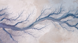 航拍潮汐树湿地 大地脉络定格自然奇观