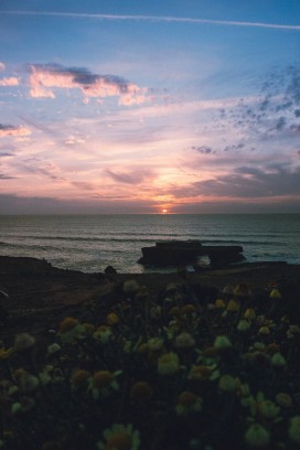 海岸日落的花影与海蚀岩剪影