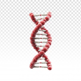 3D 立体 DNA 双螺旋结构生物科学基因透明免抠素材图